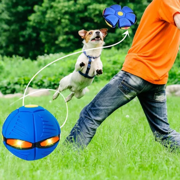 Flying Saucer Ball Dog Toy in use