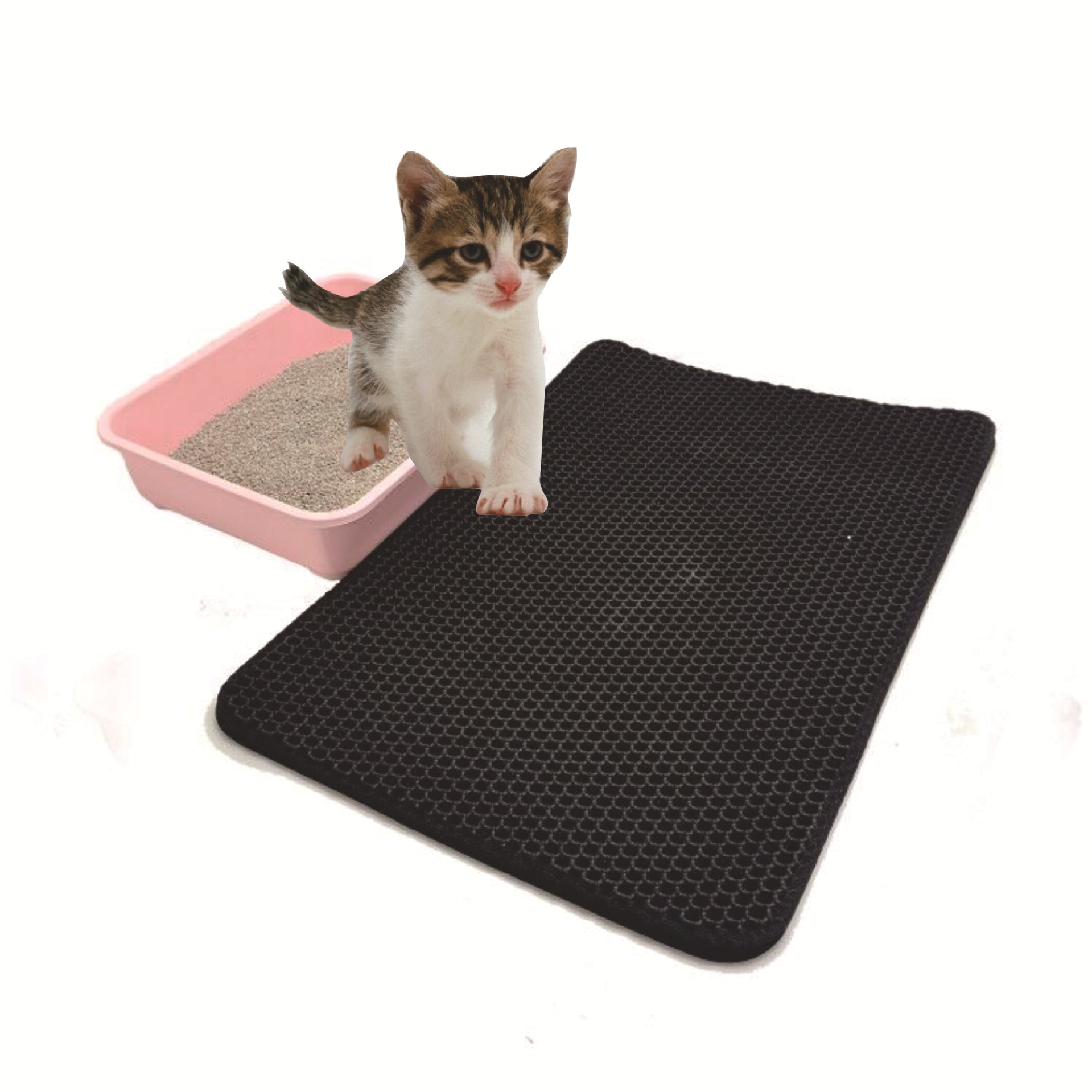 Black Cat Litter Mat used by a cat